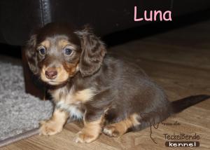 21-11-14-Luna