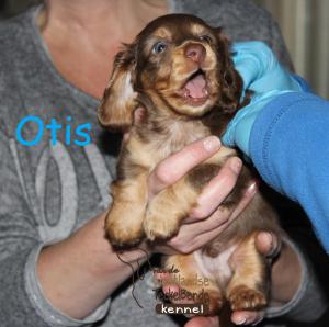 21-11-17 (14) Otis